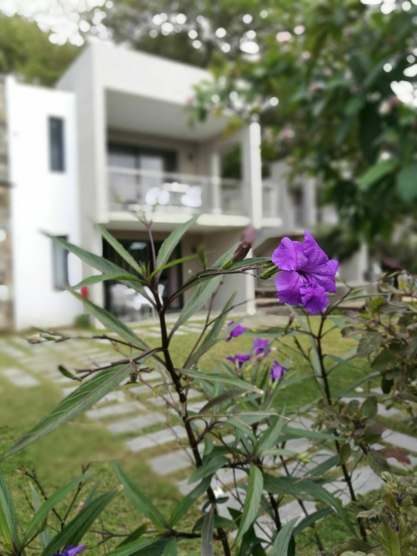 Valmarin Seafront Apartments Trou d'Eau Douce Zewnętrze zdjęcie